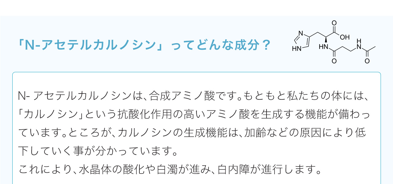 N-アセテルカルノシンは、合成アミノ酸です。もともと私たちの体には、「カルノシン」という抗酸化作用の高いアミノ酸を生成する機能が備わっています。ところが、カルノシンの生成機能は、加齢などの原因により低下していく事が分かっています。これにより、水晶体の酸化や白濁が進み、白内障が進行します
