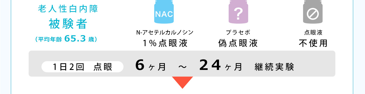 老人性白内障被験者　1日2回点眼で6ヶ月から24ヶ月継続実験