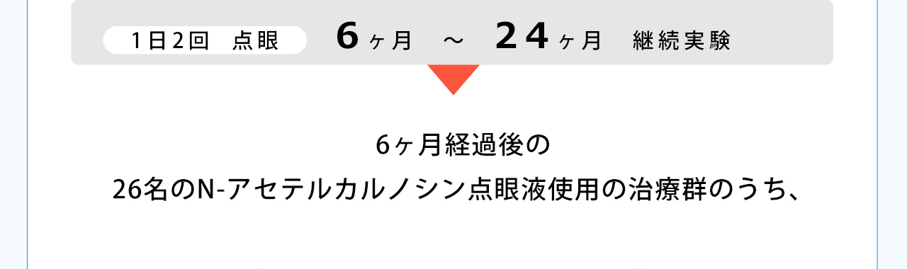 6ヶ月経過後の26名のN-アセテルカルノシン点眼液使用の治療群のうち