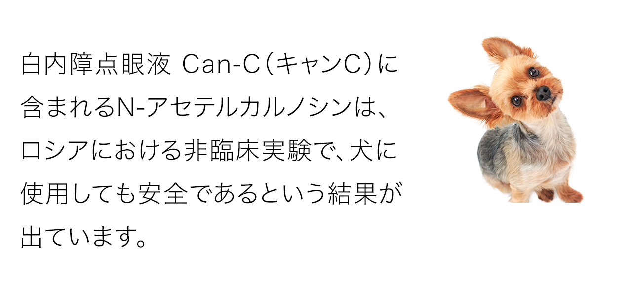 白内障点眼液 Can-C（キャンC）に含まれるN-アセテルカルノシンは、ロシアにおける非臨床実験で、犬に使用しても安全であるという結果が出ています
