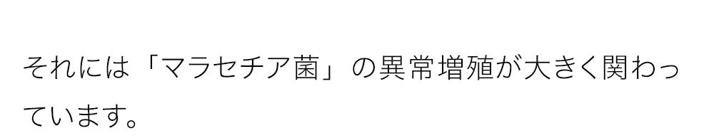 「マラセチア菌」の異常増殖が大きく関わっています