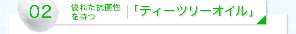 優れた抗菌性を持つティーツリーオイル