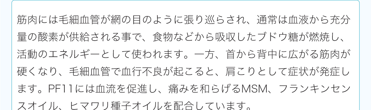 筋肉には毛細血管が網の目のように張り巡らされ、通常は血液から充分量の酸素が供給される事で、食物などから吸収したブドウ糖が燃焼し、活動のエネルギーとして使われます。一方、首から背中に広がる筋肉が硬くなり、毛細血管で血行不良が起こると、肩こりとして症状が発症します。PF11には血流を促進し、痛みを和らげるMSM、フランキンセンスオイル、ヒマワリ種子オイルを配合しています