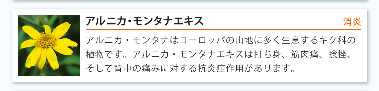 アルニカ・モンタナはヨーロッパの山地に多く生息するキク科の植物です。アルニカ・モンタナエキスは打ち身、筋肉痛、捻挫、そして背中の痛みに対する抗炎症作用があります