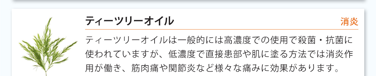 ティーツリーオイルは一般的には高濃度での使用で殺菌・抗菌に使われていますが、低濃度で直接患部や肌に塗る方法では消炎作用が働き、筋肉痛や関節炎など様々な痛みに効果があります