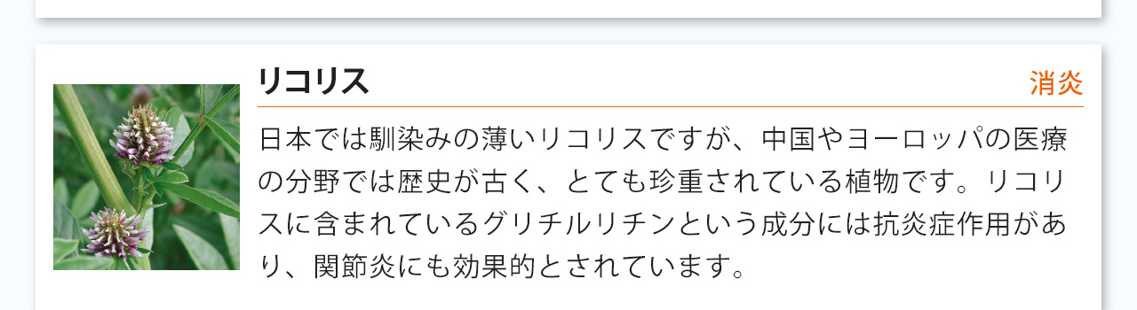 リコリスは日本では馴染みの薄いリコリスですが、中国やヨーロッパの医療の分野では歴史が古く、とても珍重されている植物です。リコリスに含まれているグリチルリチンという成分には抗炎症作用があり、関節炎にも効果的とされています