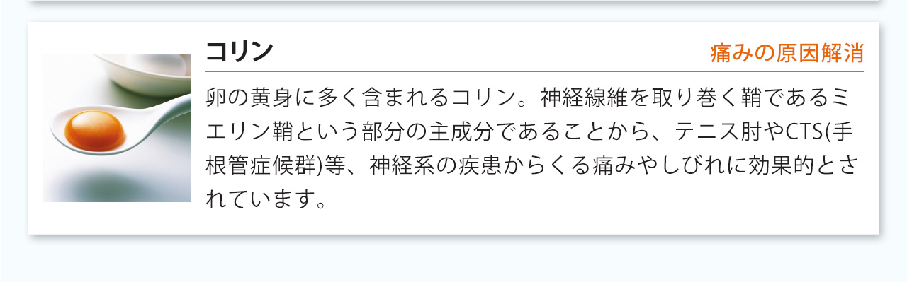 コリンは卵の黄身に多く含まれるコリン。神経線維を取り巻く鞘であるミエリン鞘という部分の主成分であることから、テニス肘やCTS(手根管症候群)等、神経系の疾患からくる痛みやしびれに効果的とされています