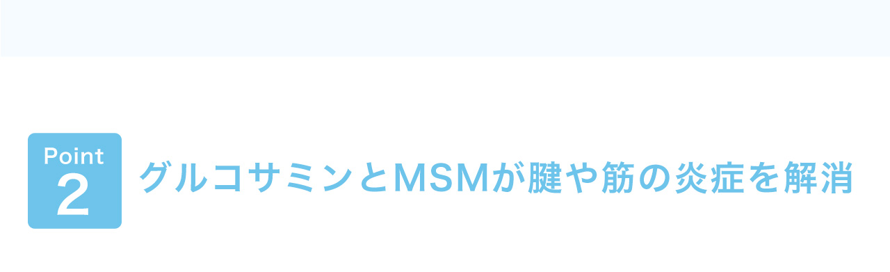 グルコサミンとMSMが腱や筋の炎症を解消