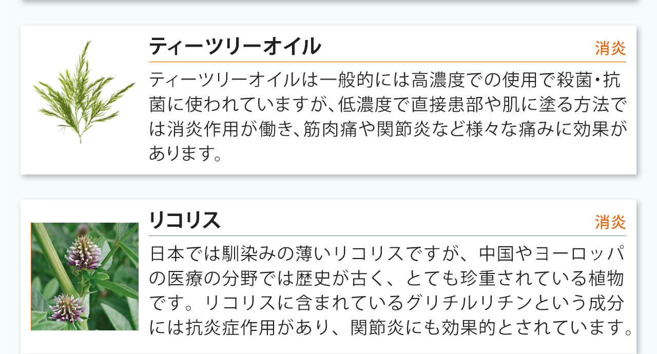 ティーツリーオイルは一般的には高濃度での使用で殺菌・抗菌に使われていますが、低濃度で直接患部や肌に塗る方法では消炎作用が働き、筋肉痛や関節炎など様々な痛みに効果があります