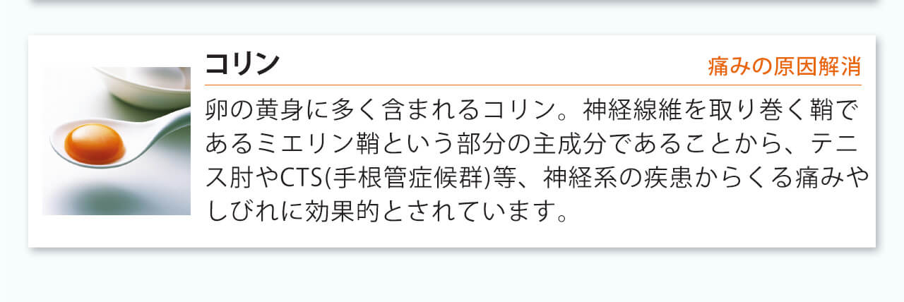 卵の黄身に多く含まれるコリン。神経線維を取り巻く鞘であるミエリン鞘という部分の主成分であることから、テニス肘やCTS(手根管症候群)等、神経系の疾患からくる痛みやしびれに効果的とされています