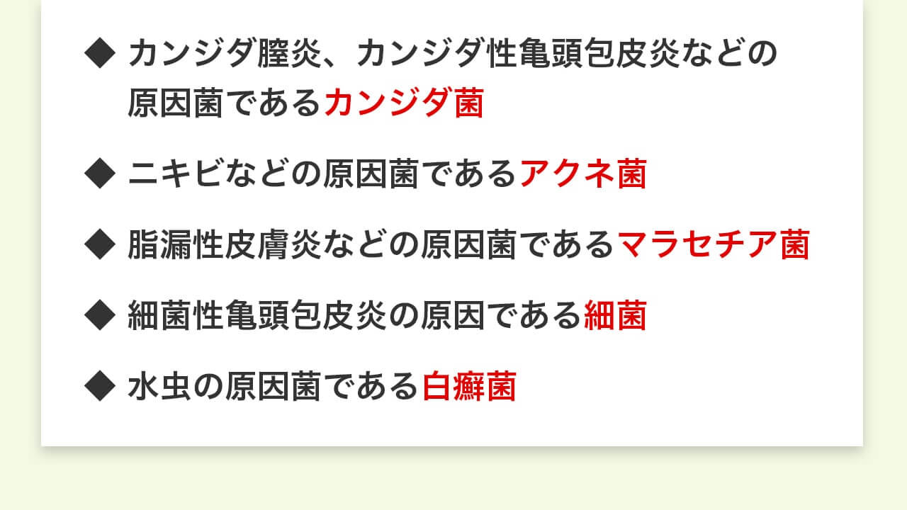 年のベスト ティー ツリー カンジダ 100 で最高の画像