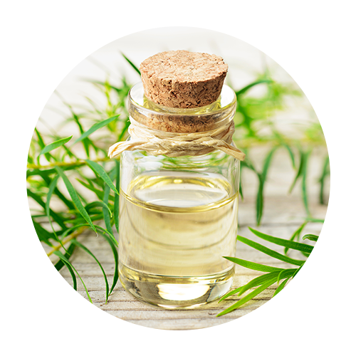 ティーツリーエッセンシャルオイル