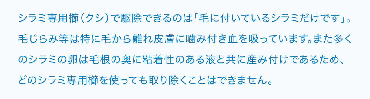多くのシラミの卵は毛根の奥に粘着性のある液と共に産み付けであるため、どのシラミ専用櫛を使っても取り除くことはできません