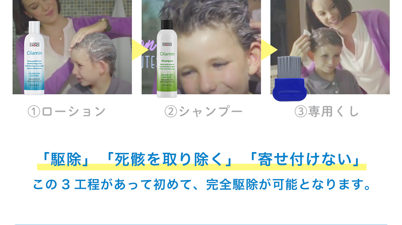 「駆除」　「死骸を取り除く」　「寄せ付けない」この3工程があって初めて、完全駆除が可能となります