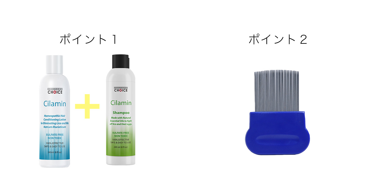 ポイント