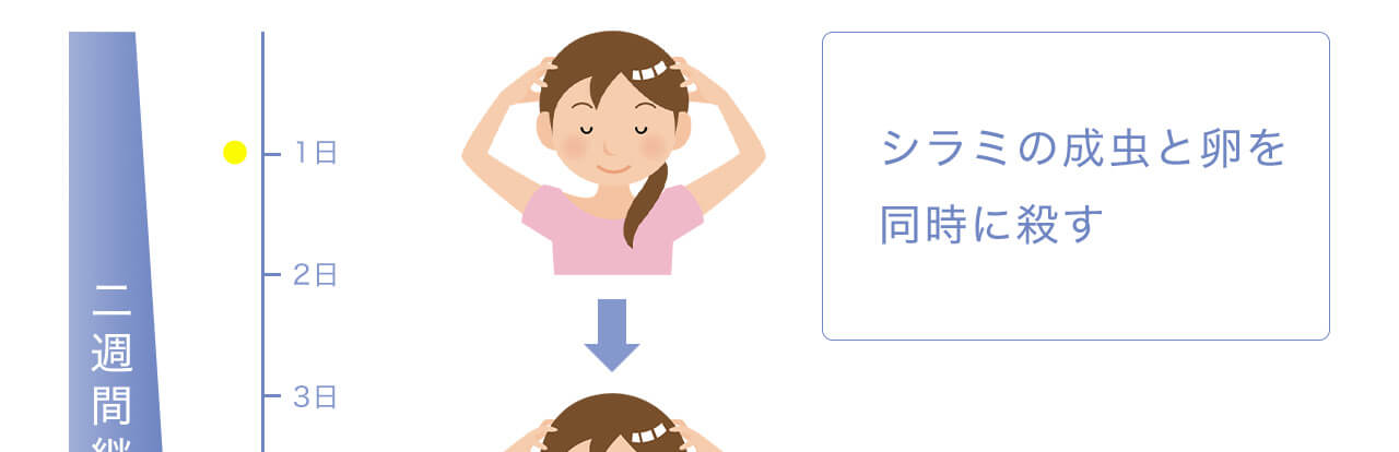 シラミの成虫と卵を
同時に殺す