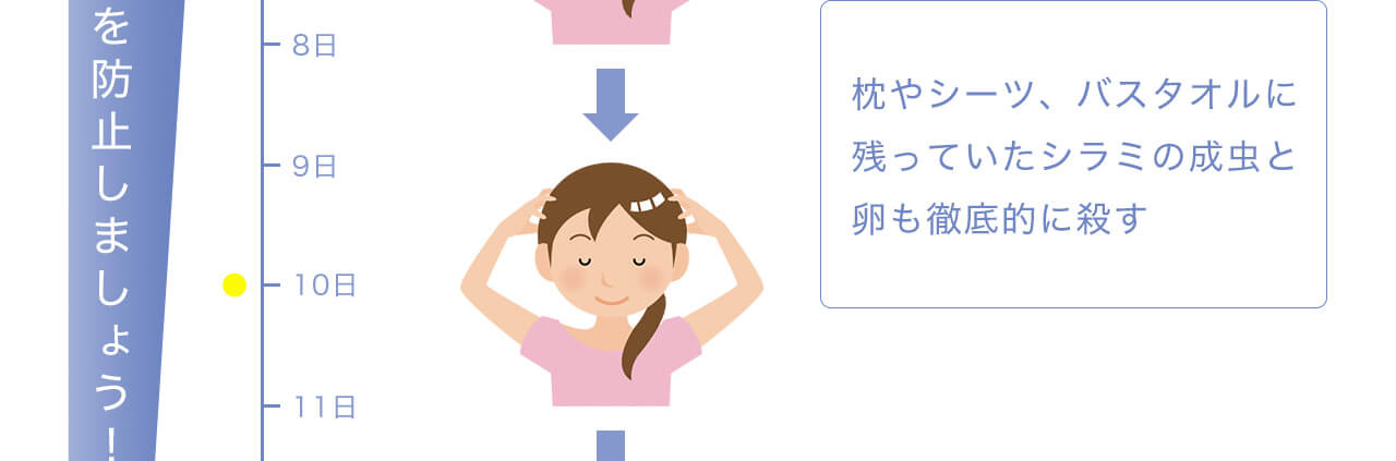 枕やシーツ、バスタオルに残っていたシラミの成虫と卵も徹底的に殺す