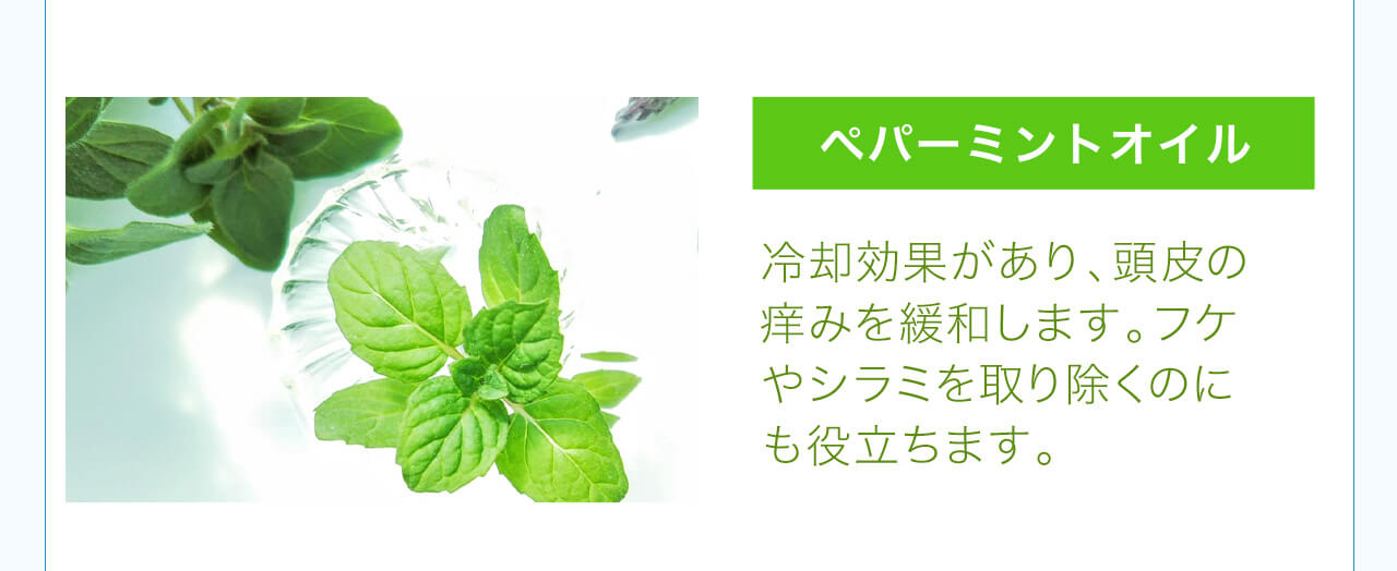 ペパーミントオイル