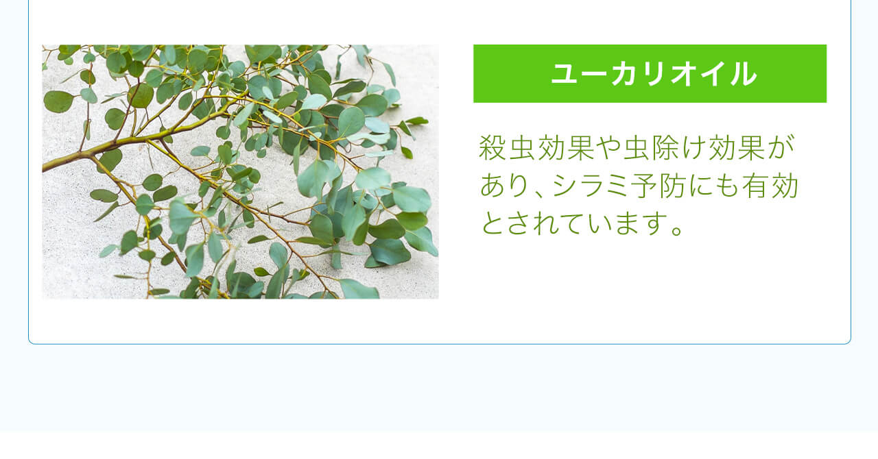 ユーカリオイル