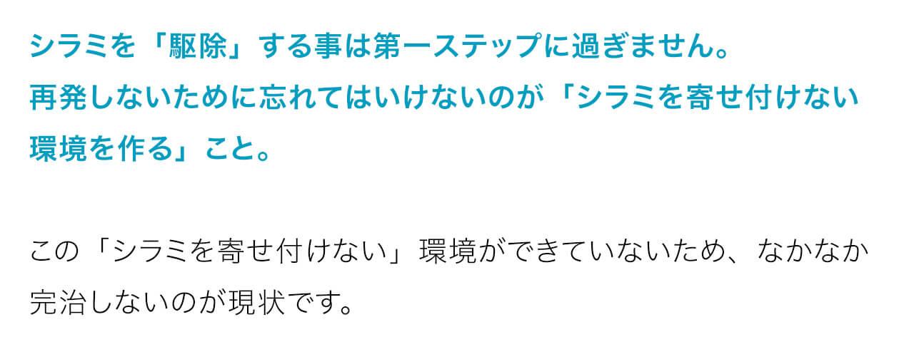 シラミを「駆除」する事は第一ステップに過ぎません