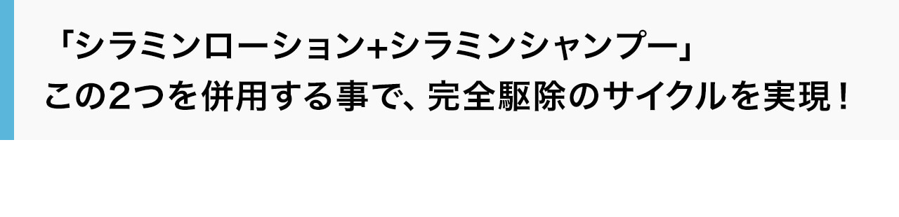 シラミンローション+シラミンシャンプーこの2つを併用する事で、完全駆除のサイクルを実現