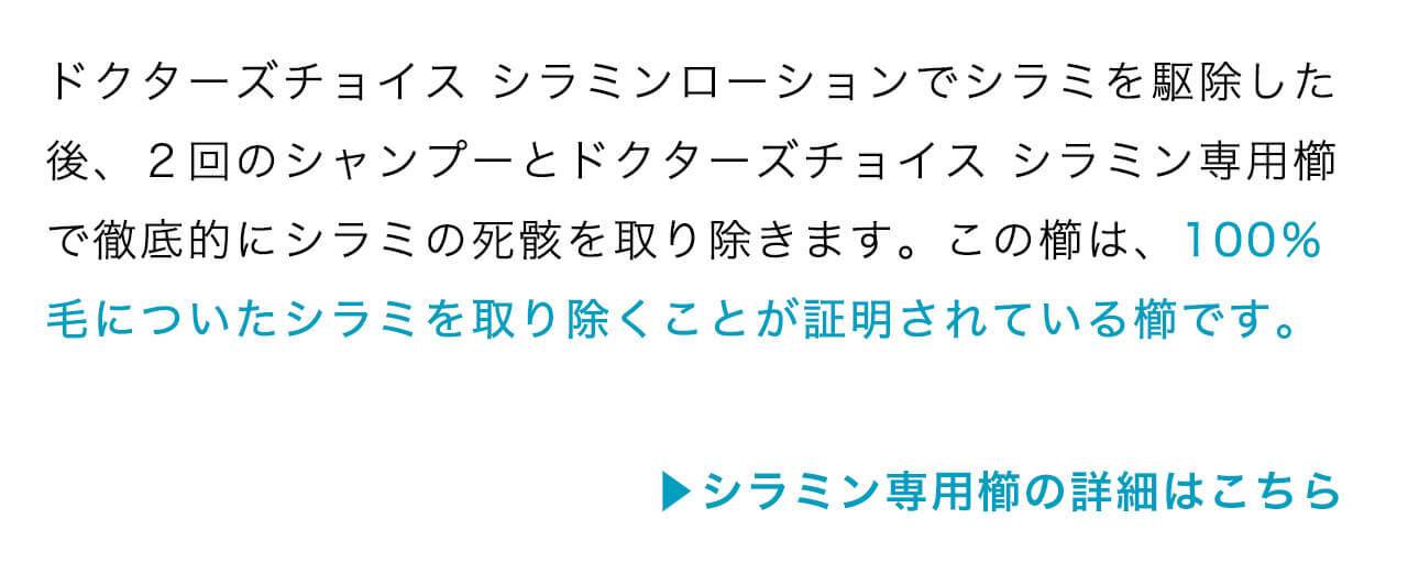 シラミン専用櫛