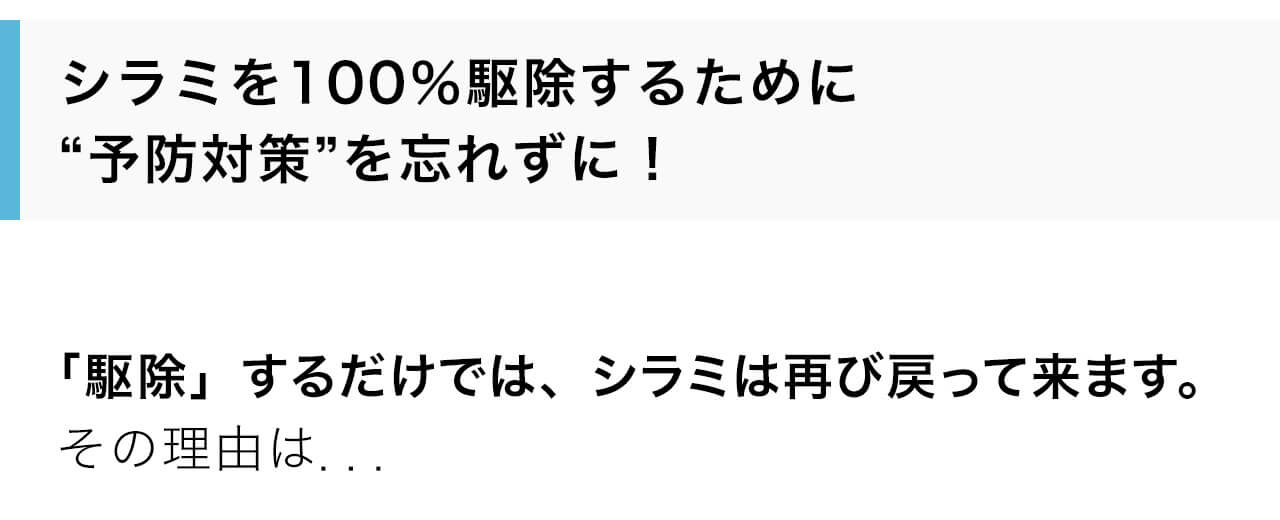 シラミを100％駆除するために
