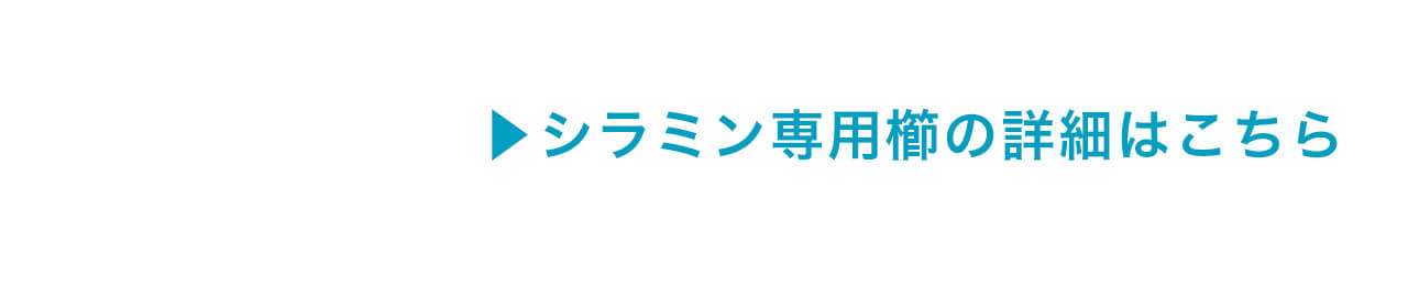 シラミン専用櫛