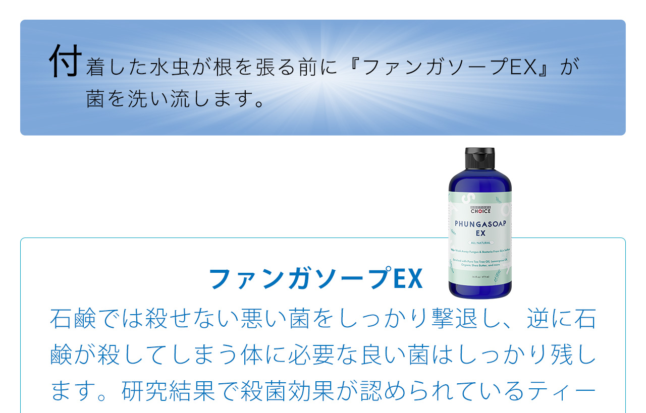 新着商品 ドクターズチョイス ファンガソープとファンガクリームの