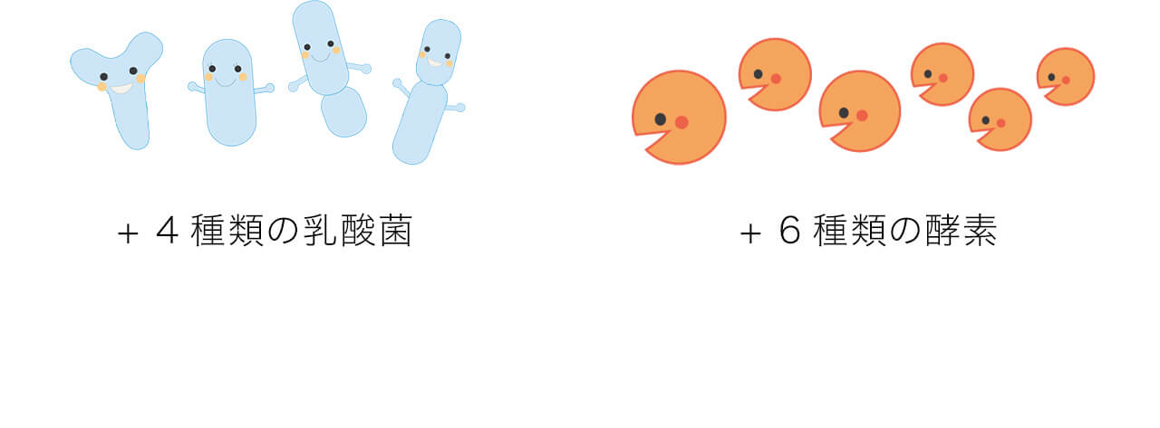 4種類の乳酸菌＋6種類の酵素