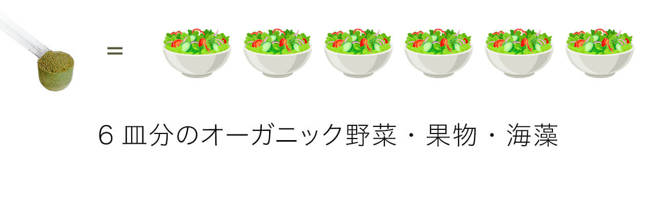 6皿分のオーガニック野菜・果物・海藻