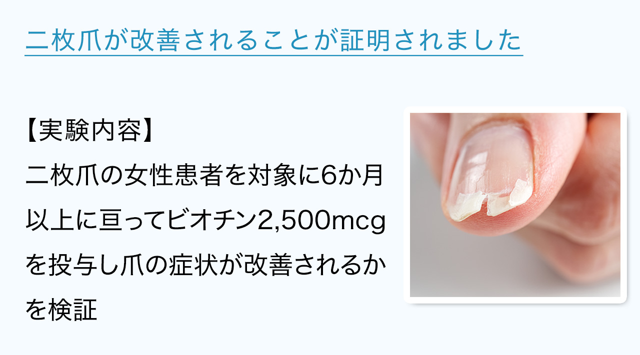二枚爪が改善されることが証明されました【実験内容】二枚爪の女性患者を対象に6か月以上に亘ってビオチン2,500mcgを投与し爪の症状が改善されるかを検証