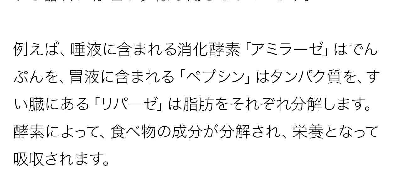 唾液に含まれる消化酵素「アミラーゼ」はでんぷんを、胃液に含まれる「ペプシン」はタンパク質を、すい臓にある「リパーゼ」は脂肪をそれぞれ分解します。酵素によって、食べ物の成分が分解され、栄養となって吸収されます