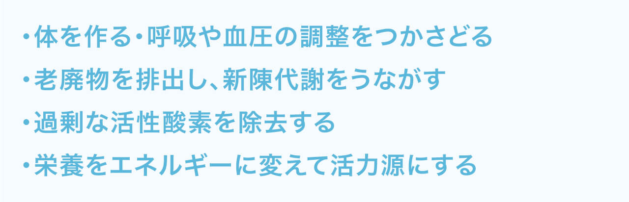 体を作る・呼吸や血圧の調整をつかさどる