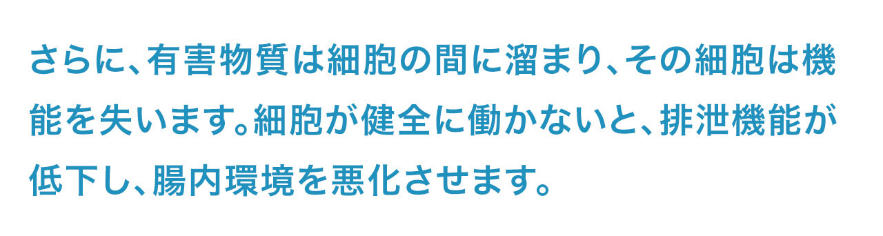 さらに、有害物質は細胞の間に溜まり、その細胞は機能を失います。細胞が健全に働かないと、排泄機能が低下し、腸内環境を悪化させます