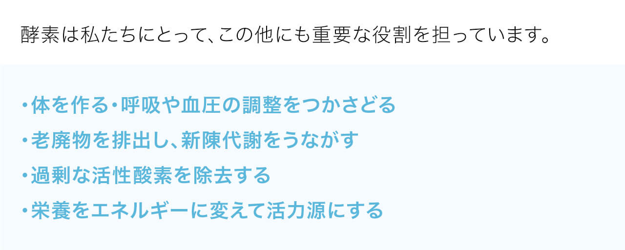 酵素は私たちにとって、この他にも重要な役割を担っています