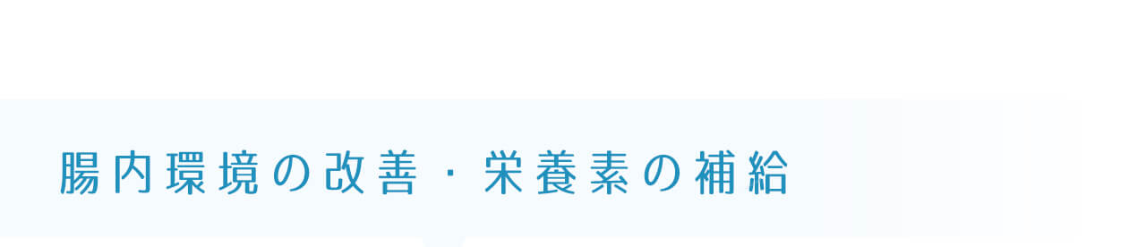 腸内環境の改善・栄養素の補給