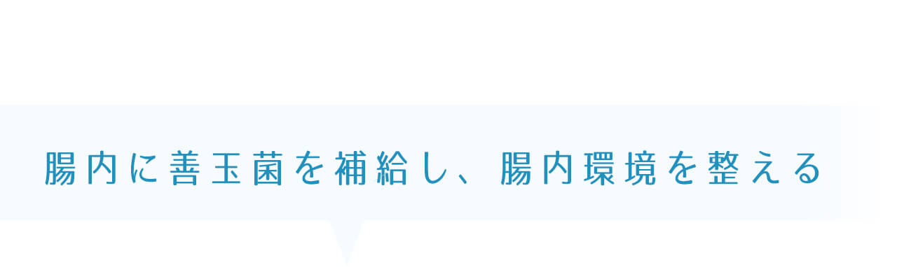 腸内に善玉菌を補給し、腸内環境を整える