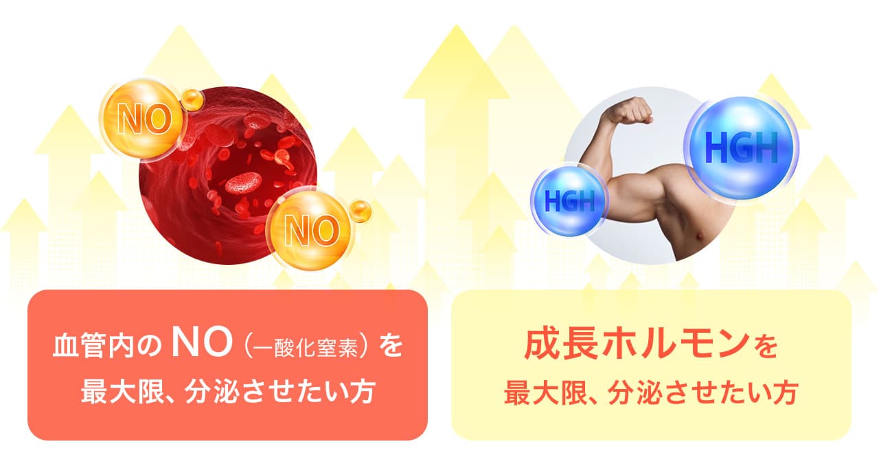 血管内のNO（一酸化窒素）を最大限、分泌させたい方　成長ホルモンを最大限、分泌させたい方