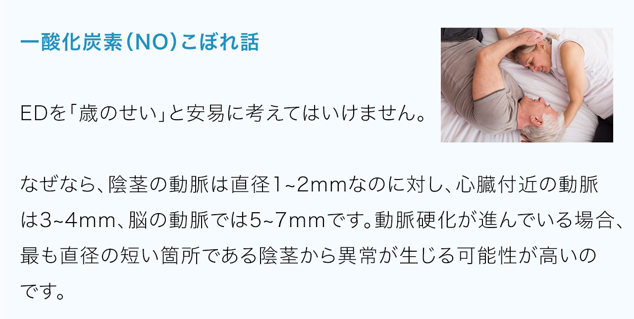一酸化炭素（NO）こぼれ話EDを「歳のせい」と安易に考えてはいけません。なぜなら、陰茎の動脈は直径1~2mmなのに対し、心臓付近の動脈は3~4mm、脳の動脈では5~7mmです。動脈硬化が進んでいる場合、最も直径の短い箇所である陰茎から異常が生じる可能性が高いのです。つまり、EDがおこっているということは、動脈硬化が始まっているということです。EDが進み、脳の血管がつまれば脳梗塞に、心臓の血管がつまれば狭心症になります。脳梗塞や狭心症をおこした人の多くは発作をおこすだいぶ前からEDだったという人が非常に多いというデータさえあります。