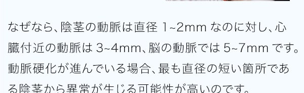 なぜなら、陰茎の動脈は直径1~2mmなのに対し、心臓付近の動脈は3~4mm、脳の動脈では5~7mmです。動脈硬化が進んでいる場合、最も直径の短い箇所である陰茎から異常が生じる可能性が高いのです