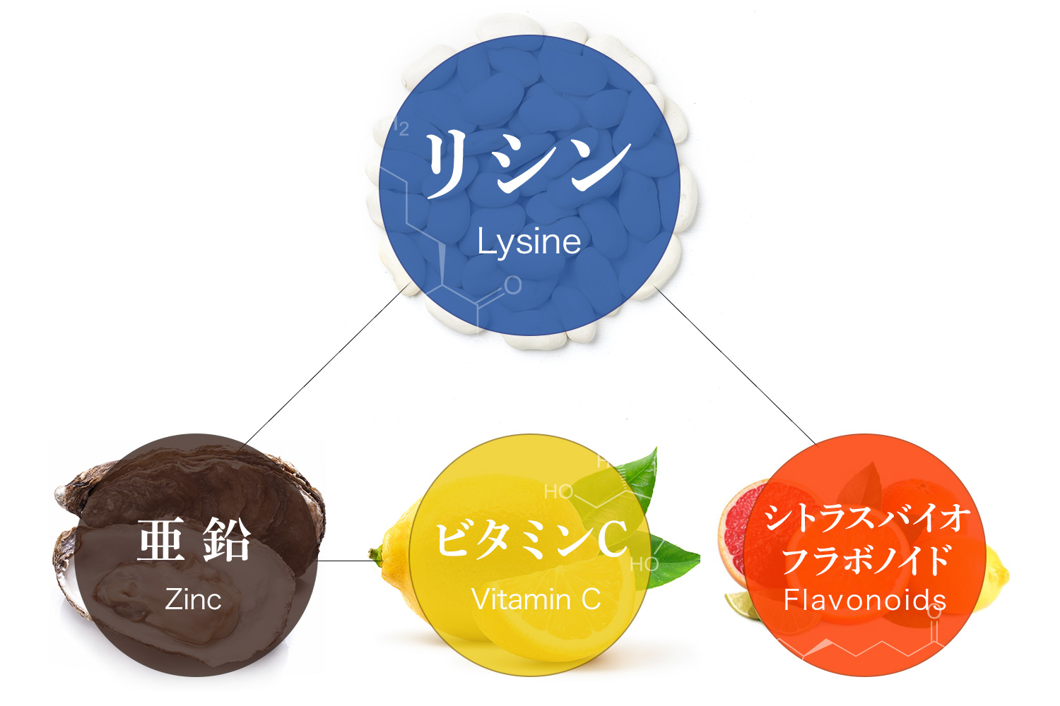 ヘルペスに効く３代成分