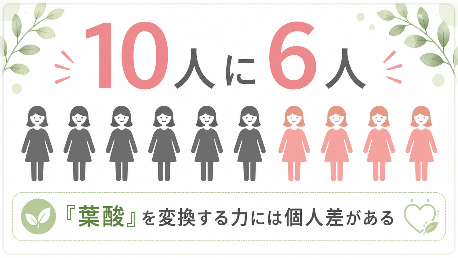 MTHFR酵素が十分に働かない約60％の人でも、しっかり利用できるよう設計された葉酸