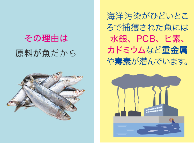 その理由は原料が魚だから。海洋汚染がひどいところで捕獲された魚には水銀、PCB、ヒ素、カドミウムなど重金属や毒素が潜んでいます。
