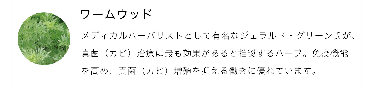 ワームウッドはメディカルハーバリストとして有名なジェラルド・グリーン氏が、真菌（カビ）治療に最も効果があると推奨するハーブ。免疫機能を高め、真菌（カビ）増殖を抑える働きに優れています