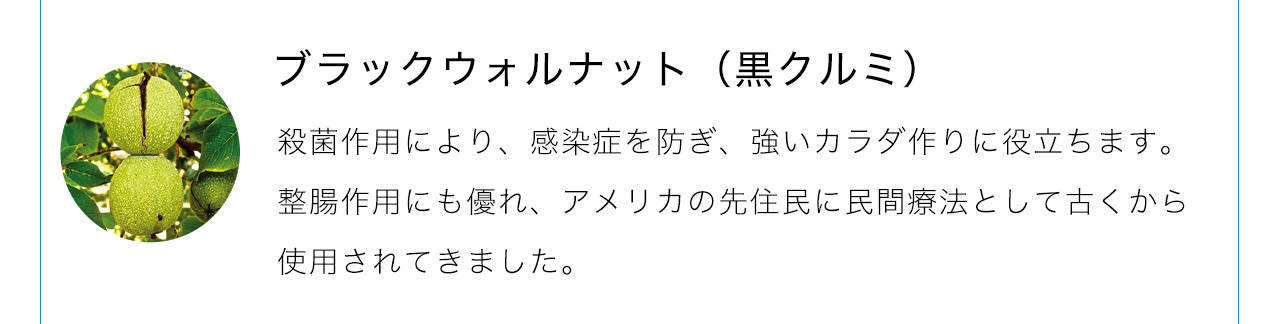 ブラックウォルナットは殺菌作用により、感染症を防ぎ、強いカラダ作りに役立ちます。整腸作用にも優れ、アメリカの先住民に民間療法として古くから使用されてきました