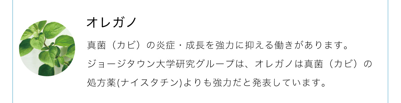オレガノは真菌（カビ）の炎症・成長を強力に抑える働きがあります。ジョージタウン大学研究グループは、オレガノは真菌（カビ）の処方薬(ナイスタチン)よりも強力だと発表しています