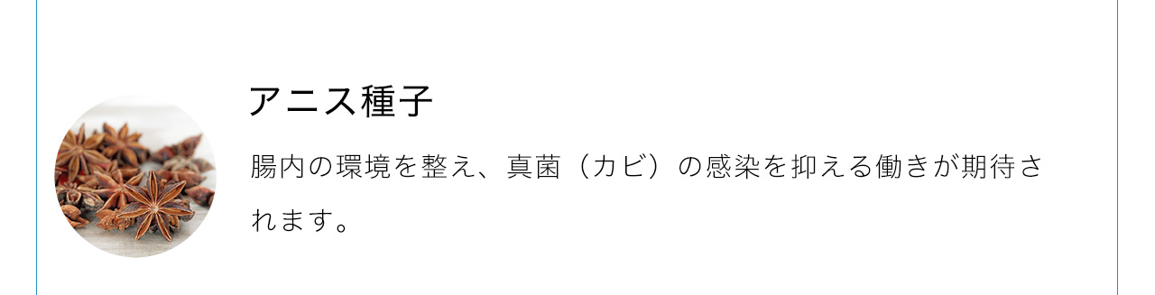 アニス種子は腸内の環境を整え、真菌（カビ）の感染を抑える働きが期待されます