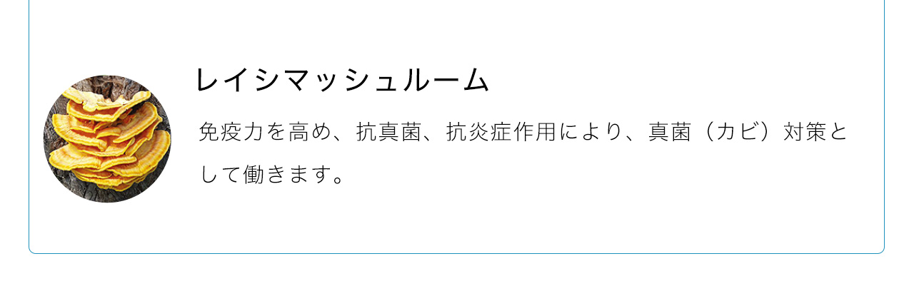 レイシマッシュルームは免疫力を高め、抗真菌、抗炎症作用により、真菌（カビ）対策として働きます