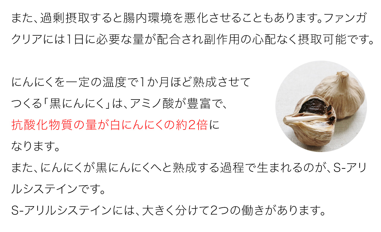 にんにくを一定の温度で1か月ほど熟成させてつくる「黒にんにく」は、アミノ酸が豊富で、抗酸化物質の量が白にんにくの約2倍になります。また、にんにくが黒にんにくへと熟成する過程で生まれるのが、S-アリルシステインです。S-アリルシステインには、大きく分けて2つの働きがあります